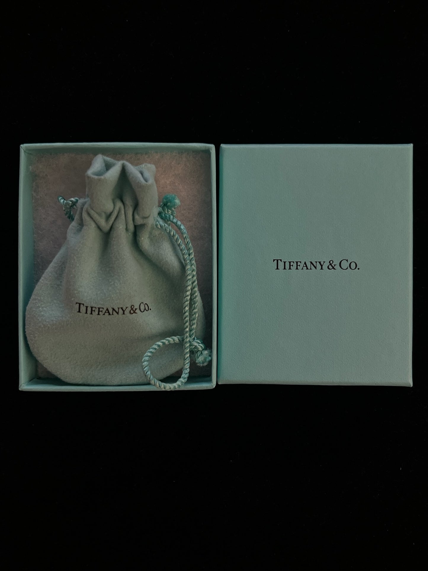 Tiffany & Co. Clover Key Pendant Necklace – Silver Tone