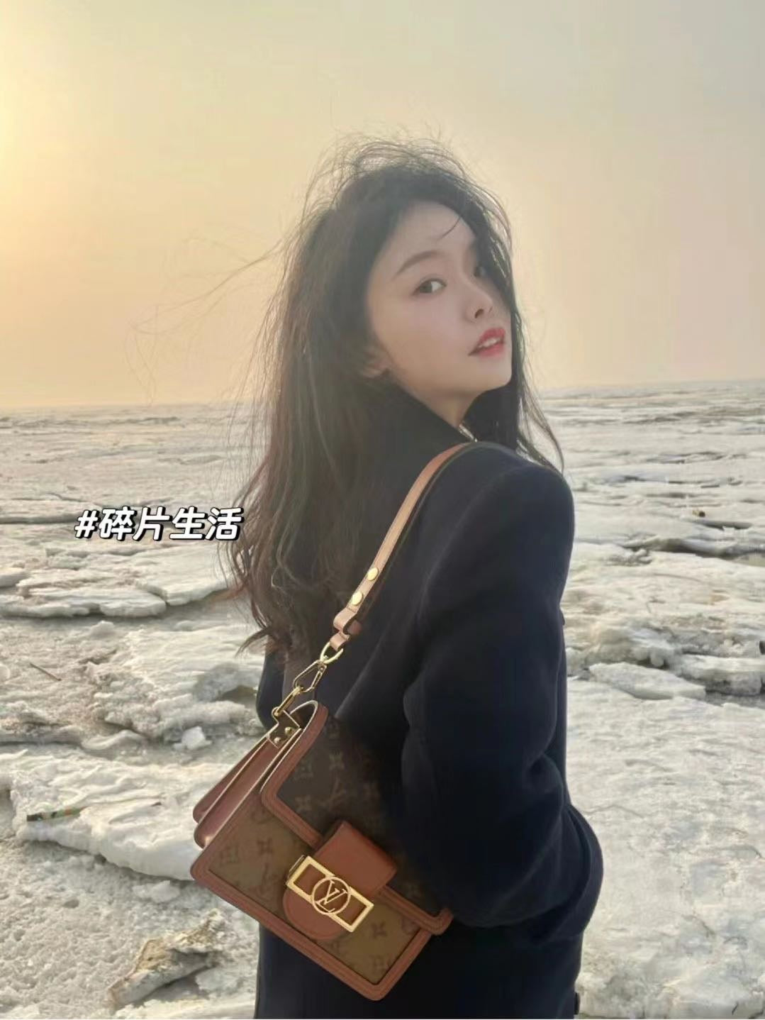Louis Vuitton Dauphine Mini Monogram Canvas Shoulder Bag