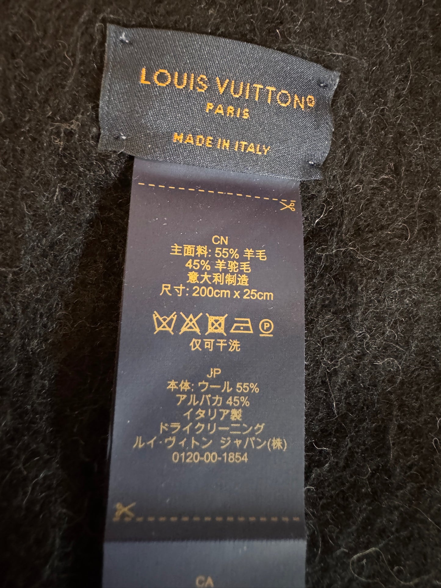 Louis Vuitton Reykjavik Gradient Logo Fringe Scarf