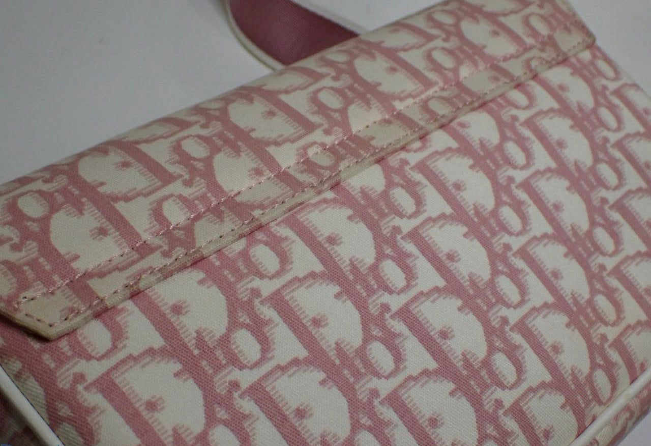 Christian Dior Pink Trotter Floral Saddle Bag