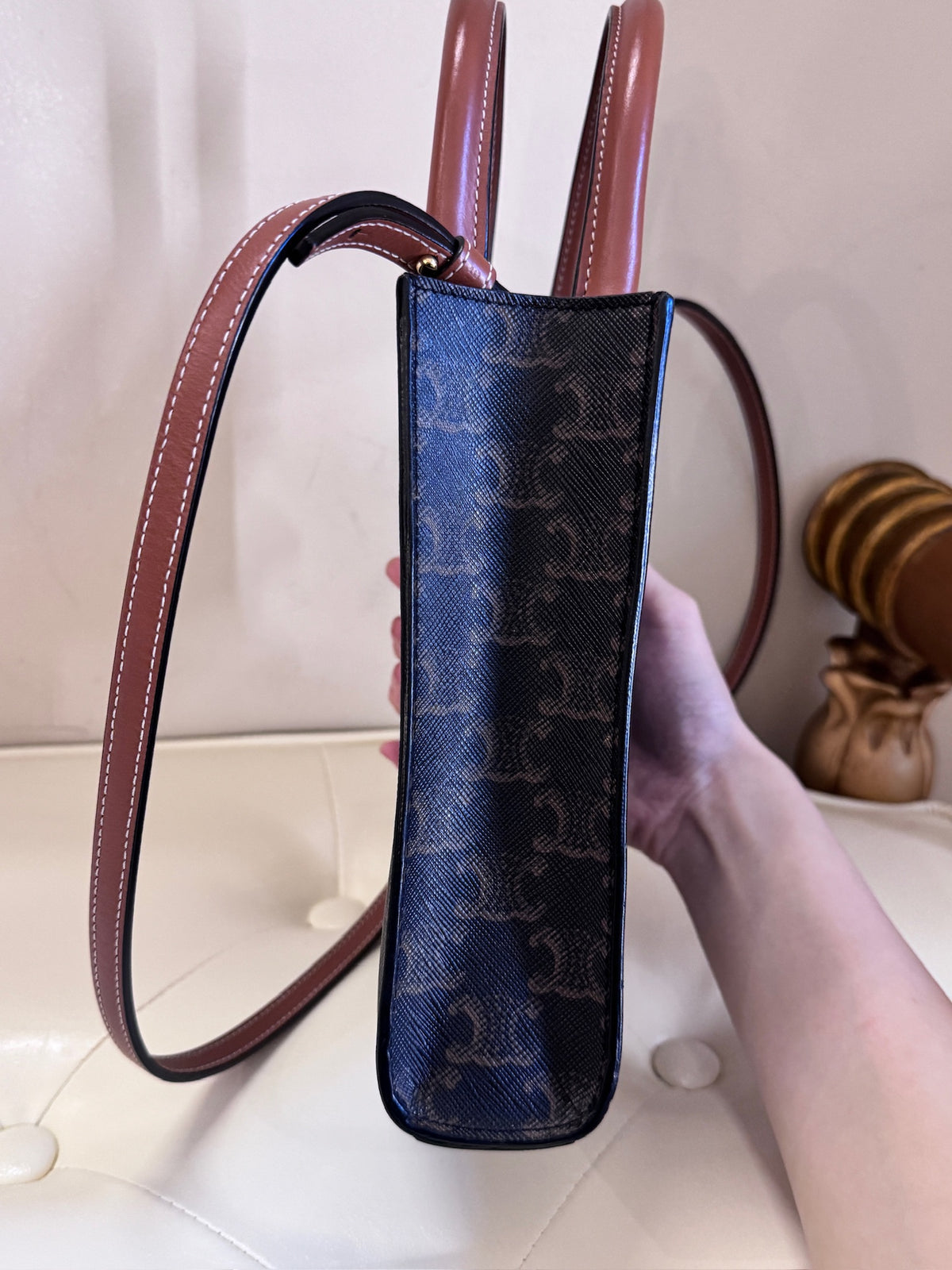 Celine Triomphe Canvas Mini Vertical Cabas Tote Bag