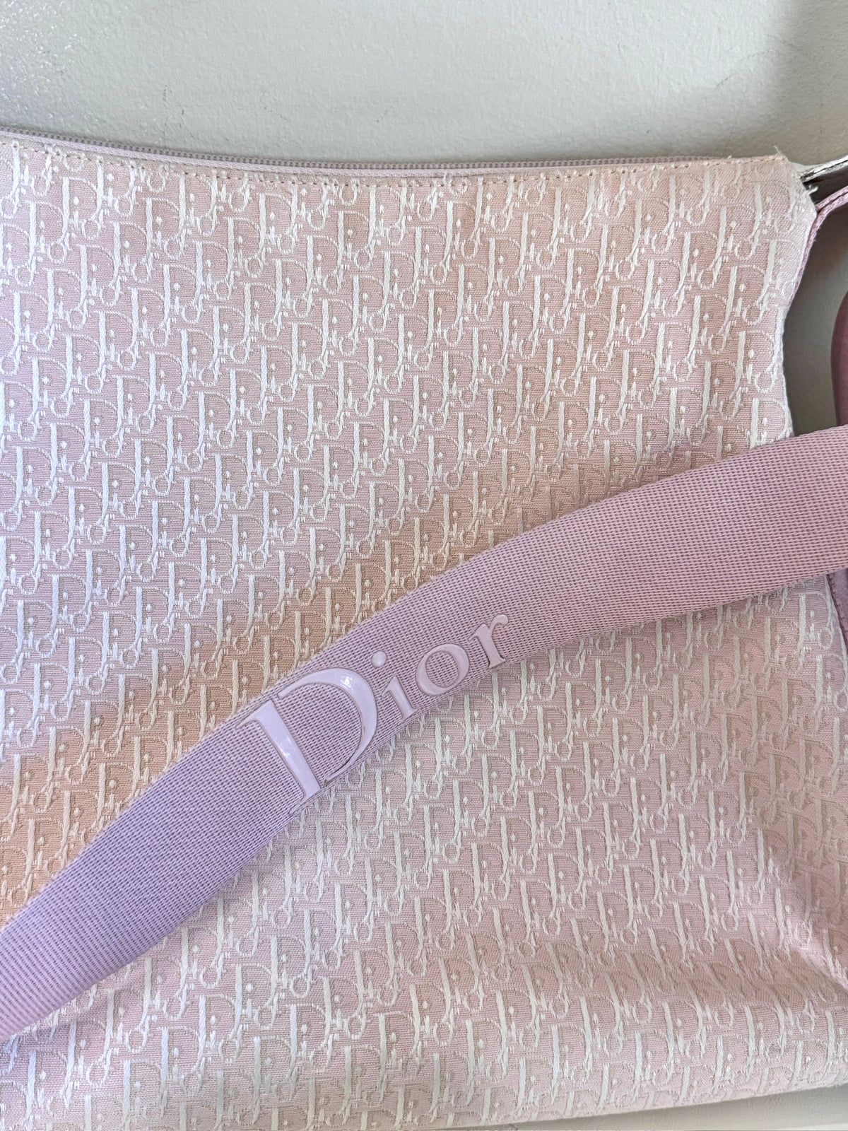 Dior Trotter Oblique Pink Canvas Shoulder Bag
