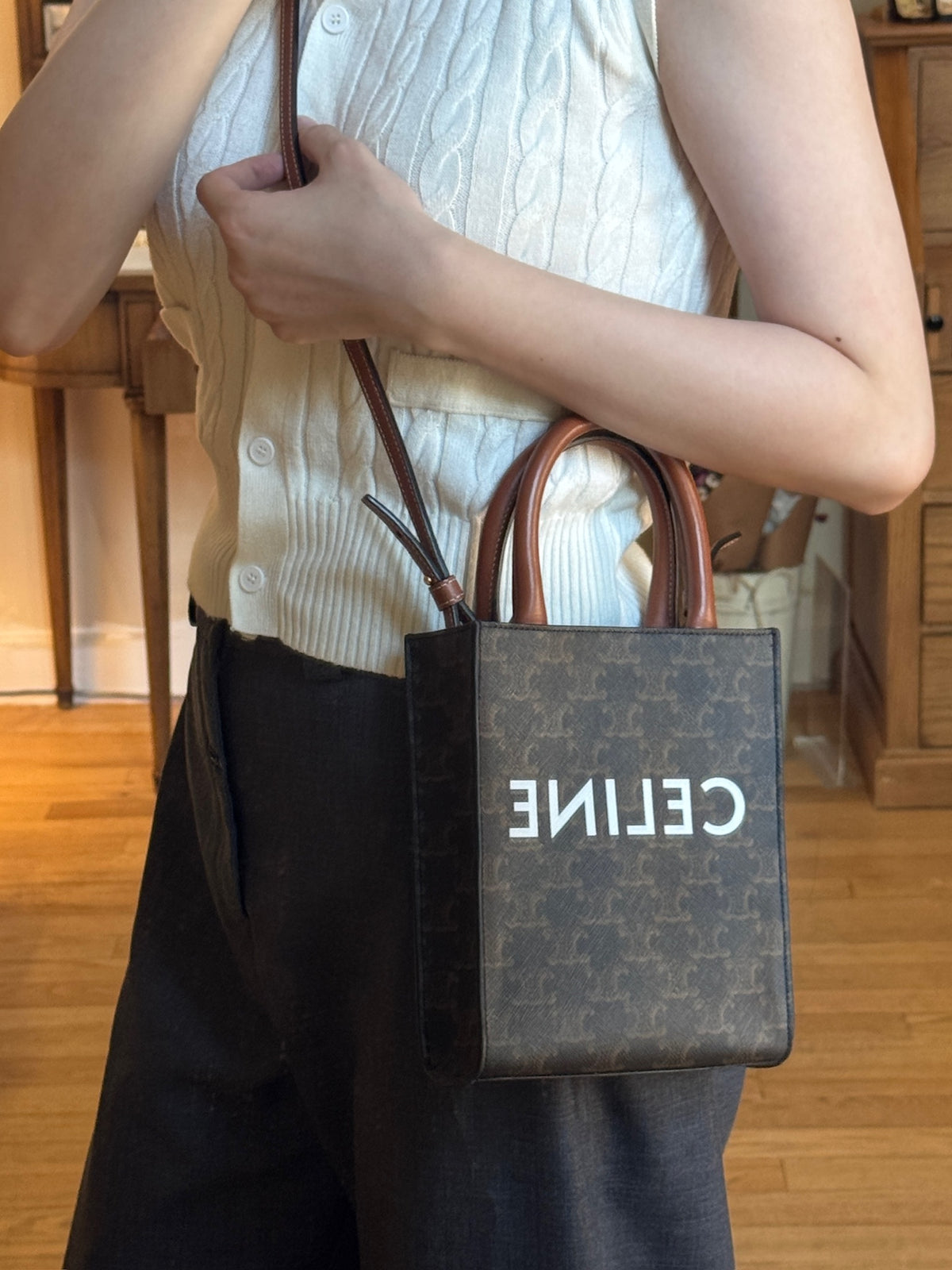 Celine Triomphe Canvas Mini Vertical Cabas Tote Bag