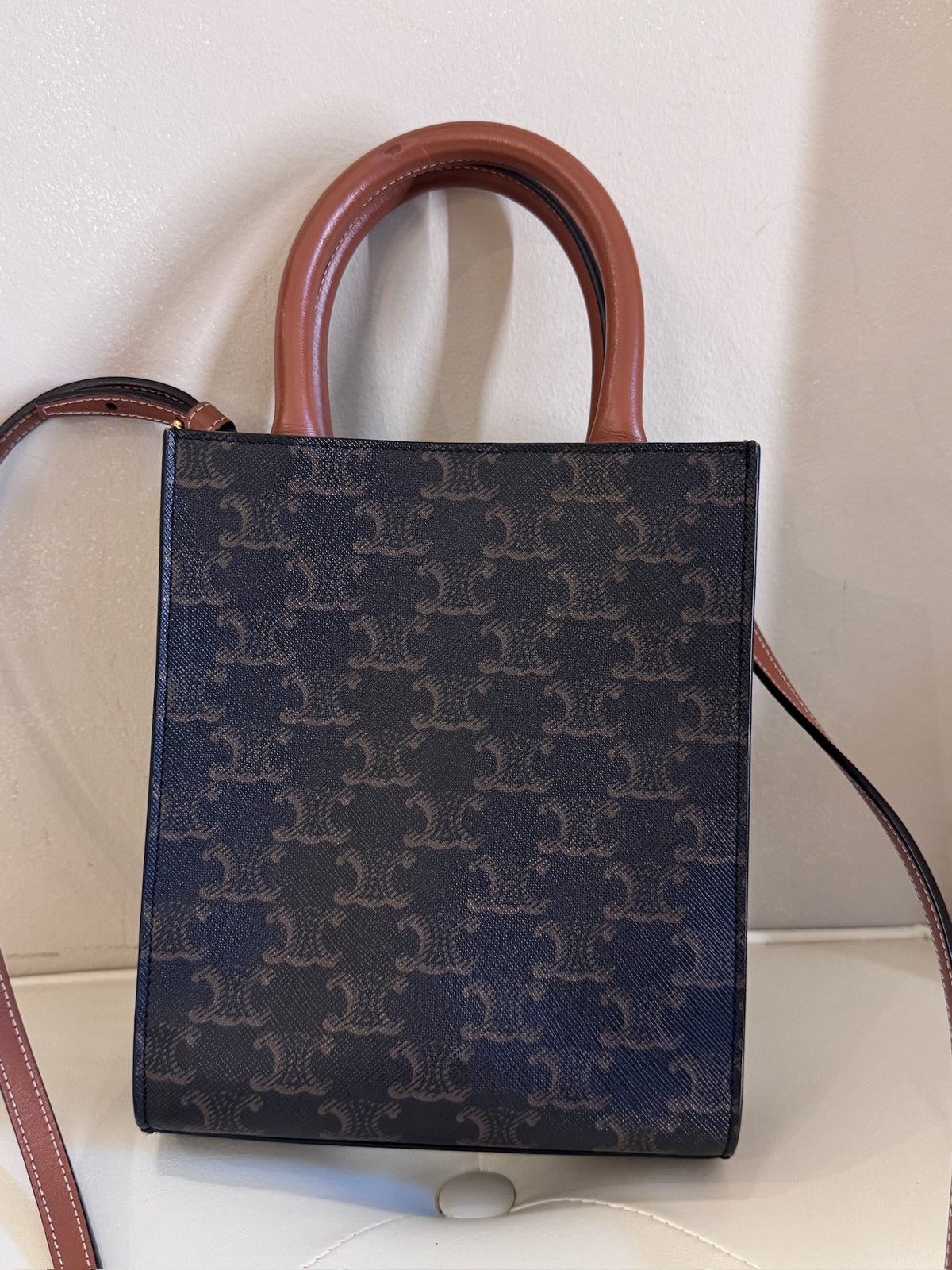 Celine Triomphe Canvas Mini Vertical Cabas Tote Bag