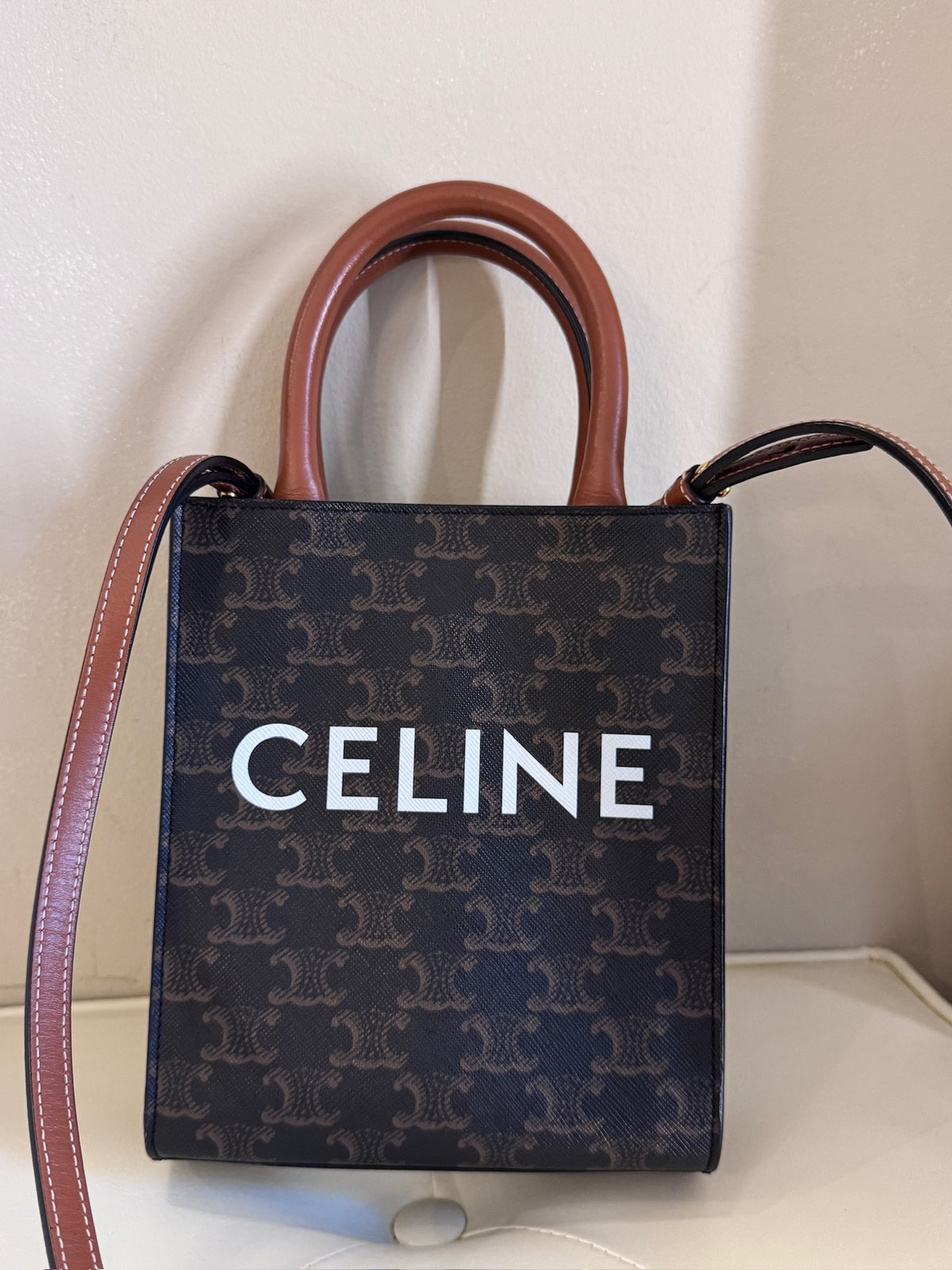 Celine Triomphe Canvas Mini Vertical Cabas Tote Bag