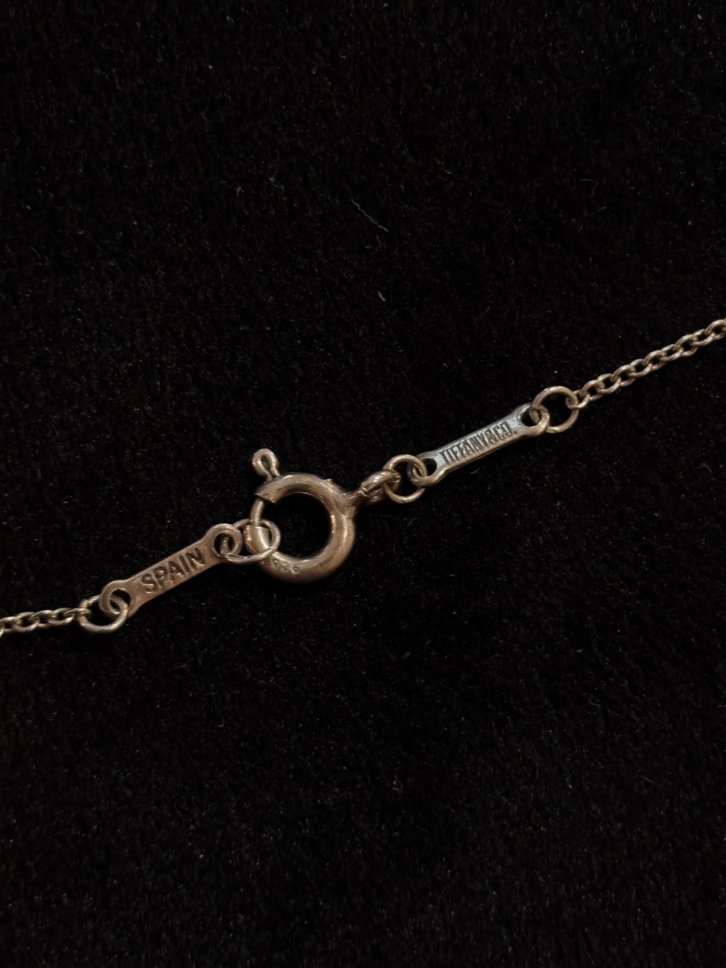 Tiffany & Co. Vintage Elsa Peretti Eternal Circle Pendant Necklace