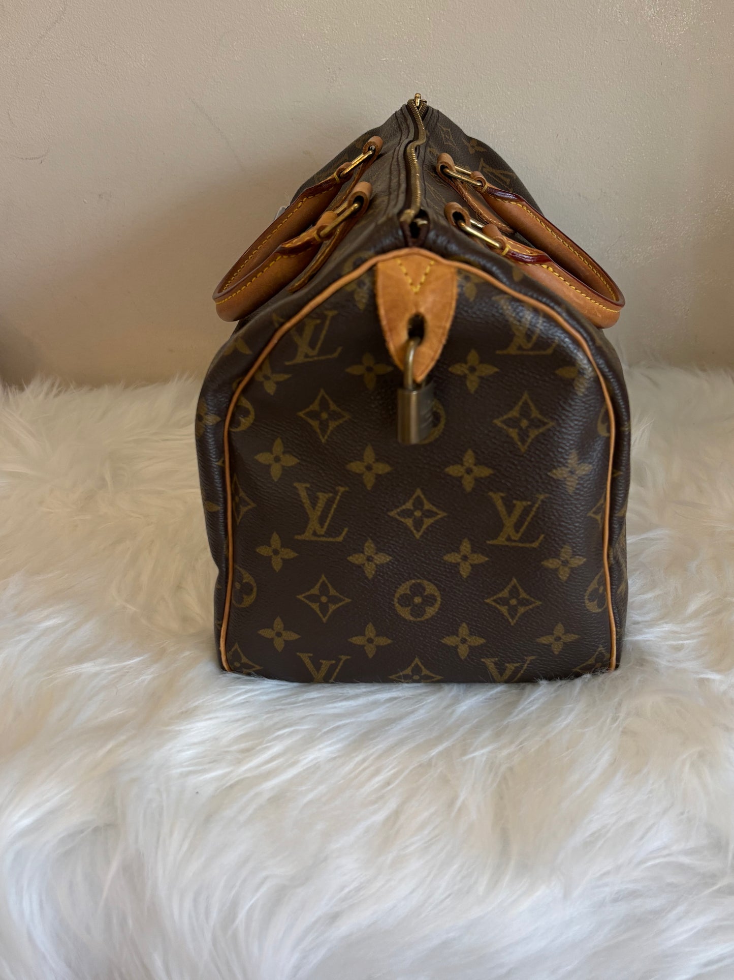 Louis Vuitton Vintage Monogram Speedy Bag